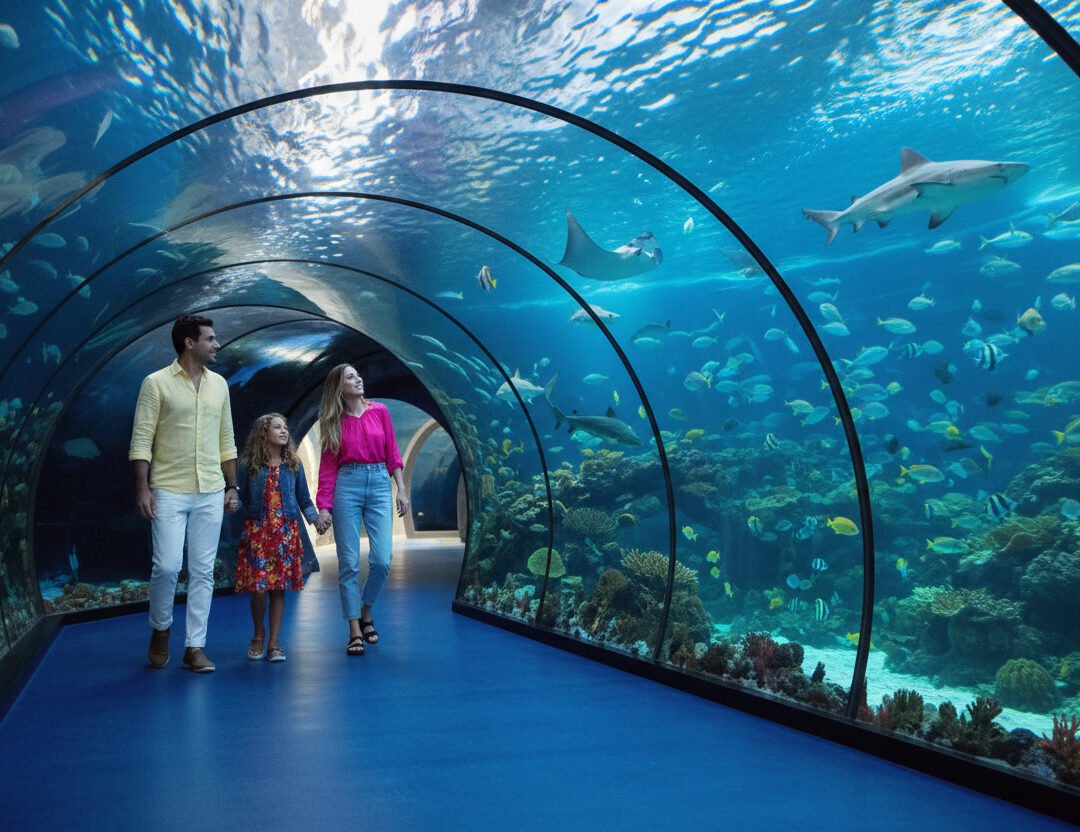 National Aquarium Abu Dhabi Ultimate Marine Experience